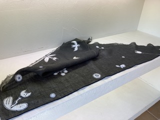 IMG_4343.jpeg